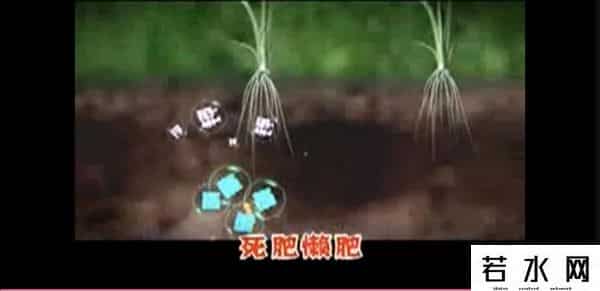 金坷垃 广告,“金坷垃”的真实成分到底是什么？