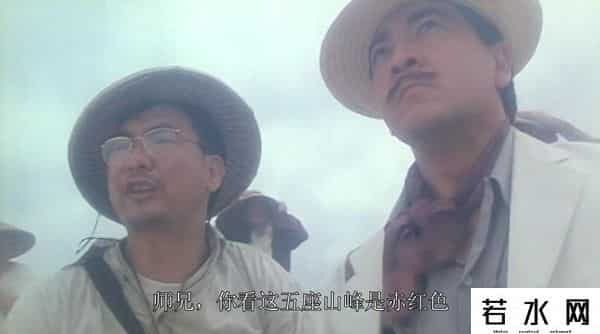 倪匡电影,31年前的卫斯理，风水玄学+枪战动作，胡慧中被遗忘的经典港片