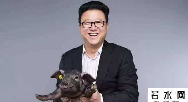 丁磊养猪,他生于浙江,26岁创业,32岁成中国首富,38岁身家千亿却去养猪