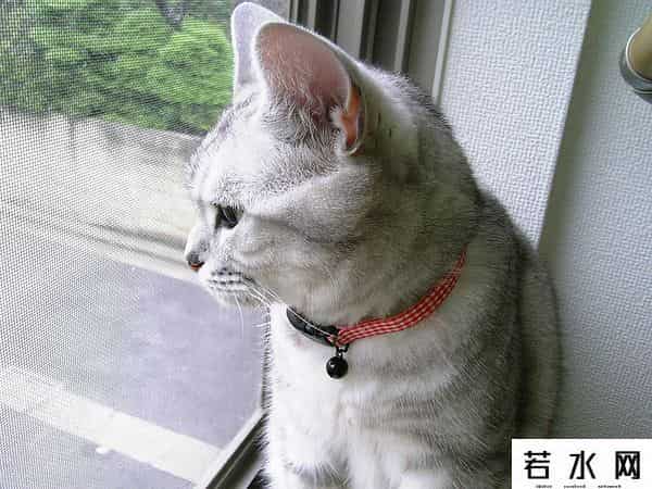 日系手机,日系手机曾经的巅峰之作——夏普 V903SH 手机