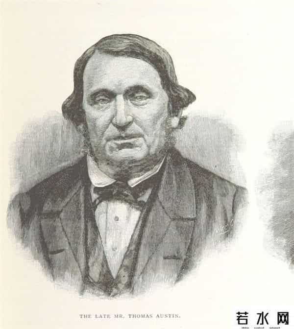 色兔兔,澳大利亚野兔成灾,百年“人兔大战”五次围剿失败,中国出手相助