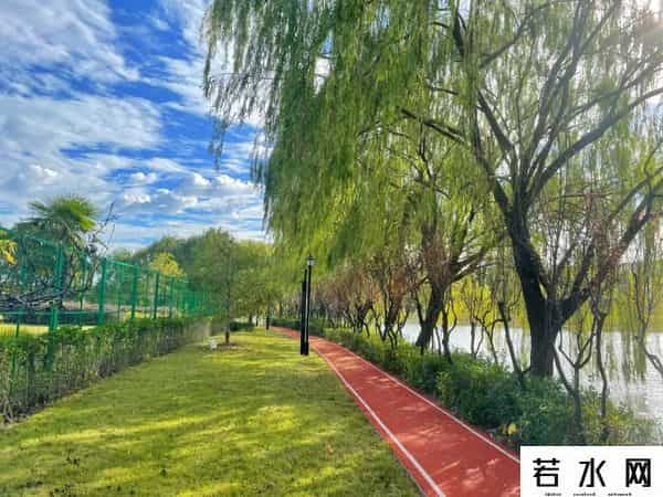蔷薇九里,松江又添一条滨水健身步道，散步、吸氧、赏景……走起