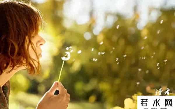 砖石王老五,钻石王老五的情感秘密：完美主义的孤独