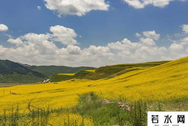 发现旅行,高原之上,金黄一隅教我发现旅行的意义