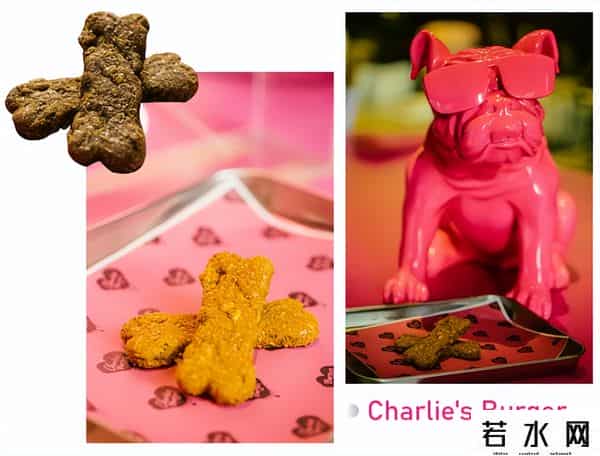 月亮湾b站,潮!月亮湾新店开业,乐趣优惠享不停~