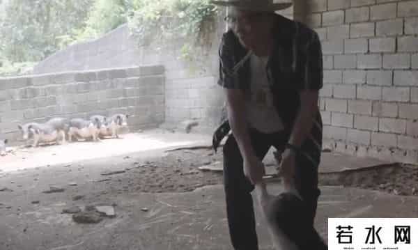 漠叔,漠叔：琼系军阀称霸农村，狗见了都得挨巴掌，真实身份反黑警察？