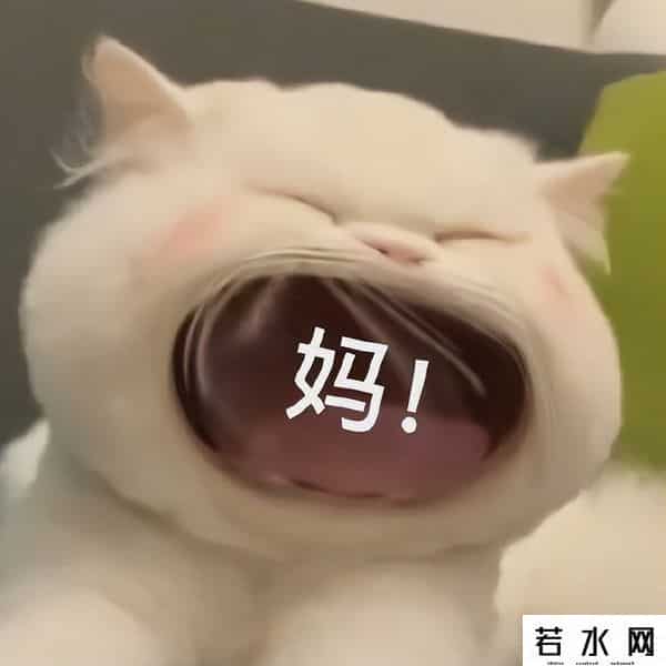 森马广告,笑了，徐志胜代言森马，真实上演买家秀，最差效果看到了还怕啥