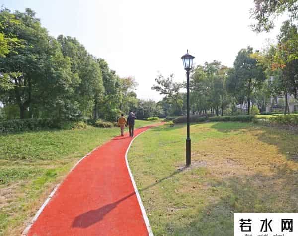 蔷薇九里,松江又添一条滨水健身步道，散步、吸氧、赏景……走起