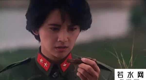 倪匡电影,31年前的卫斯理，风水玄学+枪战动作，胡慧中被遗忘的经典港片