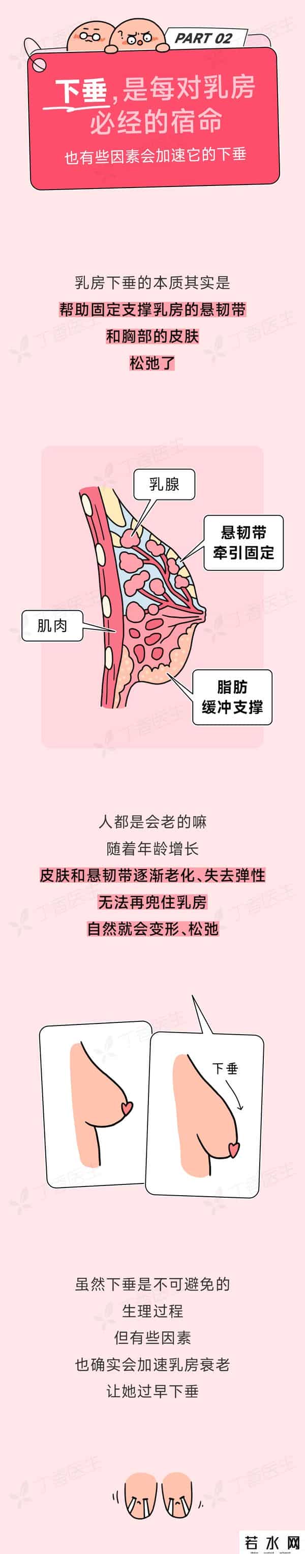 不穿内衣,长期不穿内衣,乳房会下垂吗?