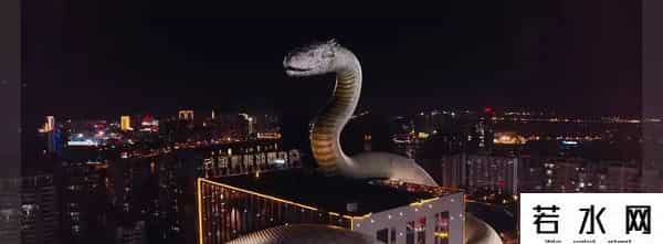 巨鳄战狂蟒,国产片烂出新高度,上演人蛇禁忌