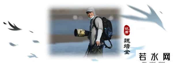 奥森,飞羽镜界 - 我在北京奥森公园拍到了“鸟中大熊猫”,是幸运吗!