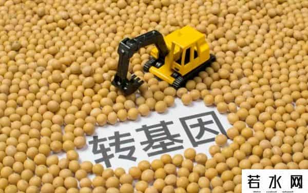 孟山都,争议缠身的孟山都,是天使还是魔鬼?