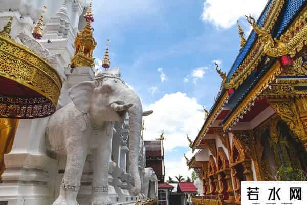 嘎腰子,泰国、缅甸“嘎腰子”,真那么疯狂?少一个肾,对身体影响有多大?还能正常过性生活吗?