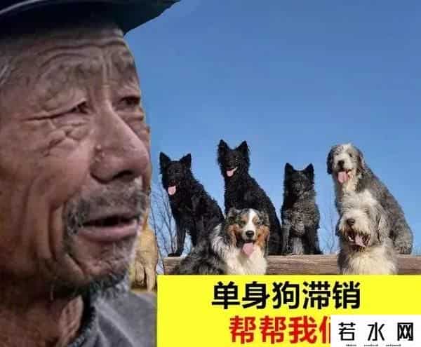 金坷垃,有啥就卖啥，卖啥啥滞销，“金坷垃”大爷火了