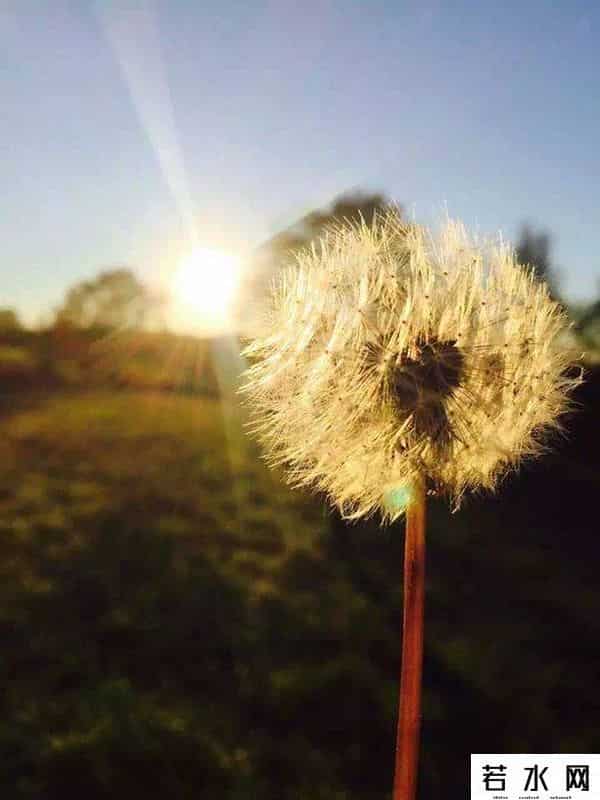 百度美拍图片,旅拍大师？其实他们只用了一部手机而已