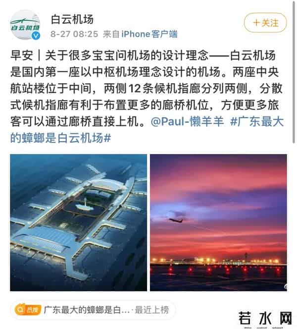 广东最大的蟑螂是白云机场