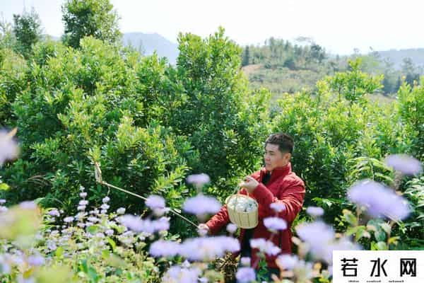 江苏200亩荒野农场-过乡村生态生活