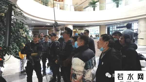 狼群西瓜视频在线观看免费