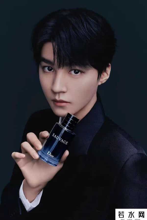 如何看待男色经济