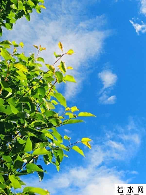 什么样的强者千万别当