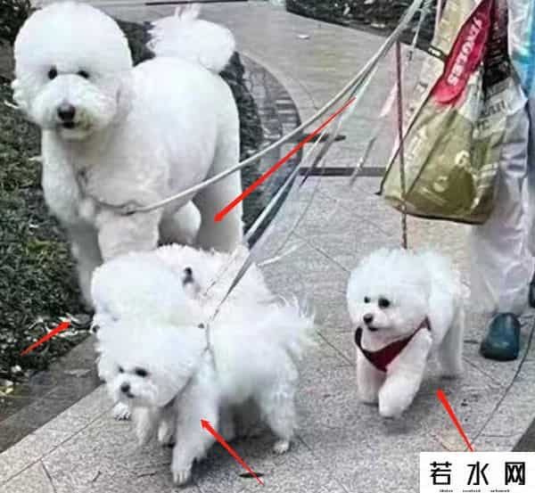 李佳琦被永久封禁了吗