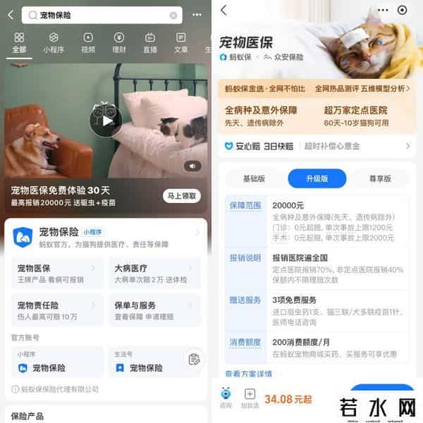 养宠物为什么这么贵