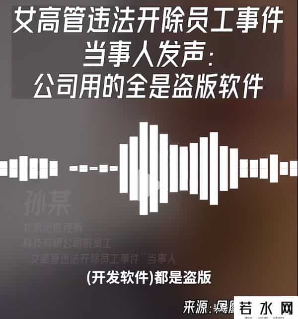 被开除当事人称公司全用盗版软件