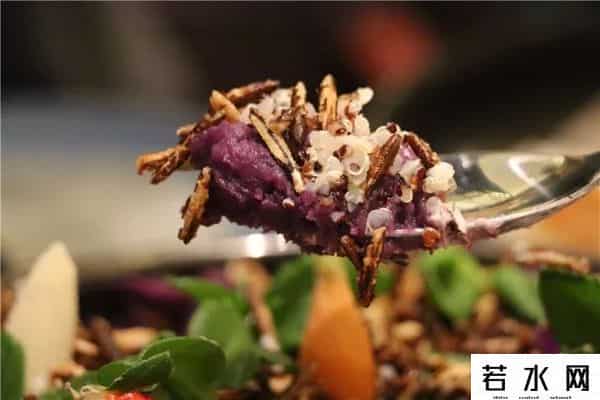 北京大董烤鸭店