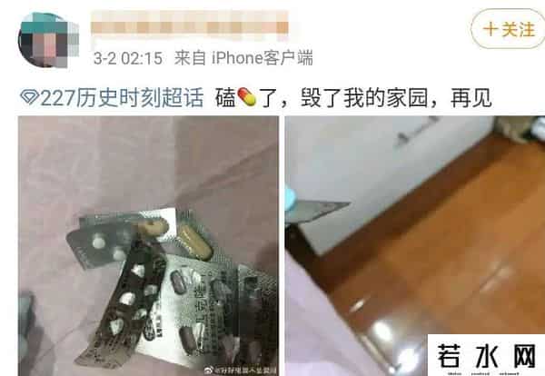 巴南区小兔赞比