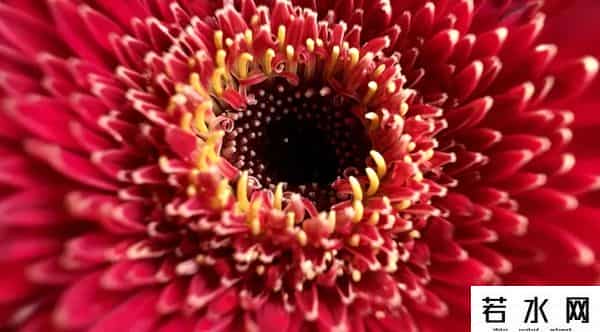 苹果13买者名王守义