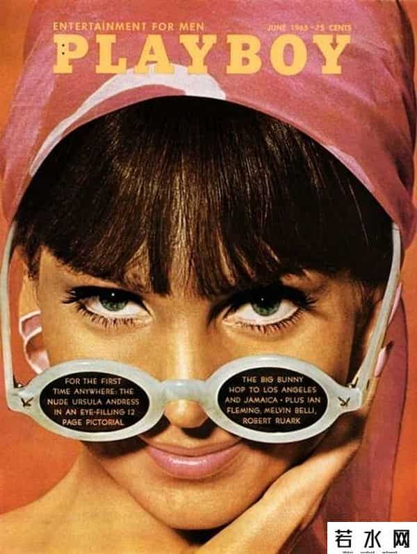 花花公子成人网站