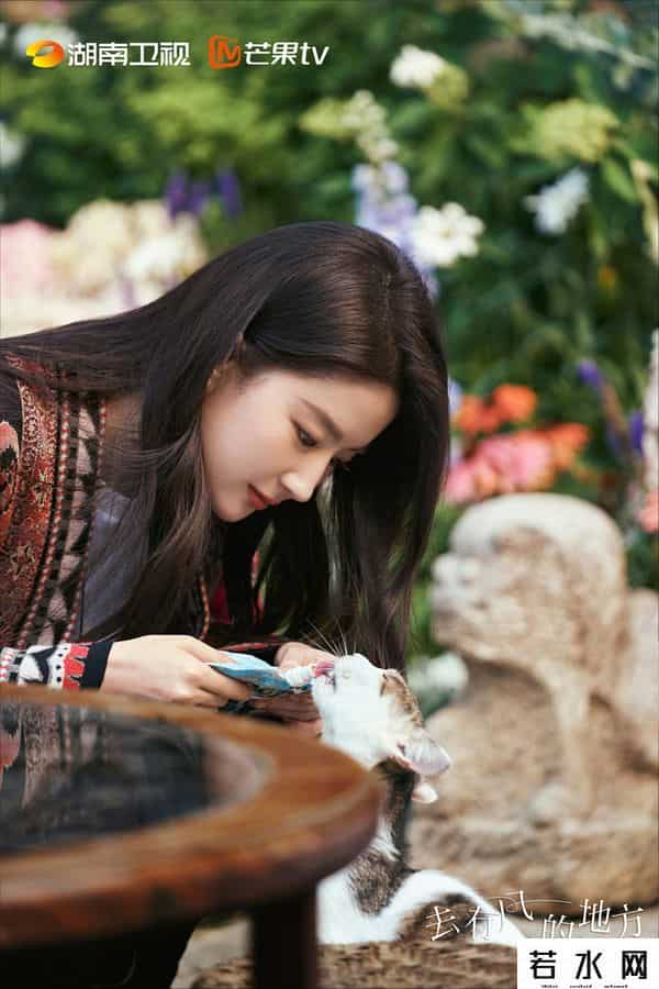 刘亦菲演的许红豆是淄博人