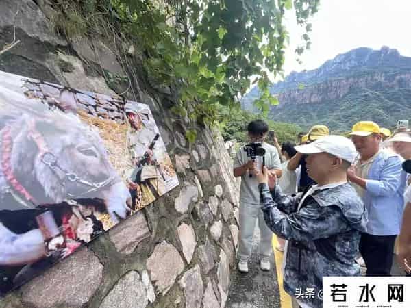 复仇者联盟3什么时候上映