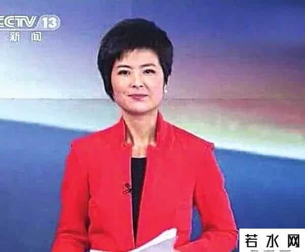 张泉灵北大演讲