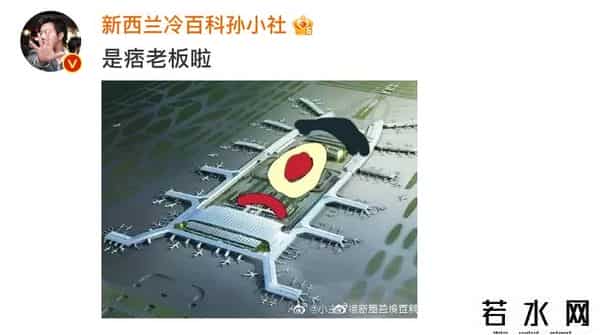 广东最大的蟑螂是白云机场