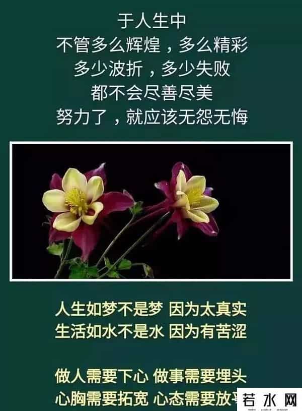 昨天的你的现在的未来