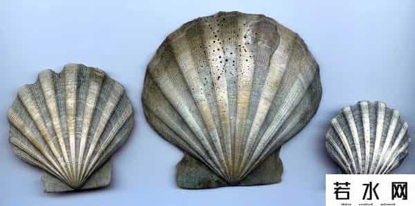 世界上最稀有的颜色