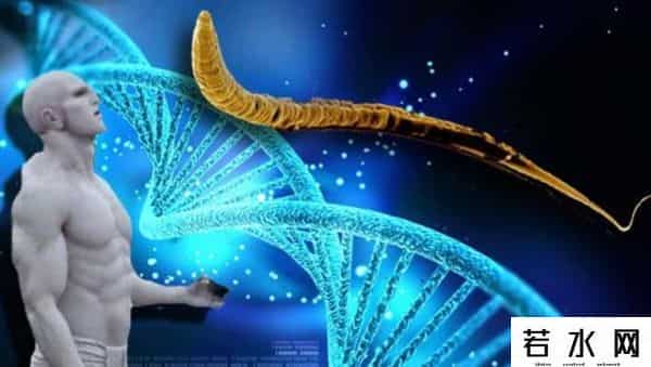 寄生蜂会寄生人类吗