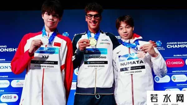 你是来自哪颗星