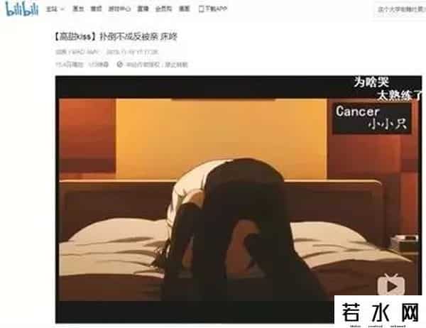 b站被曝低俗泛滥