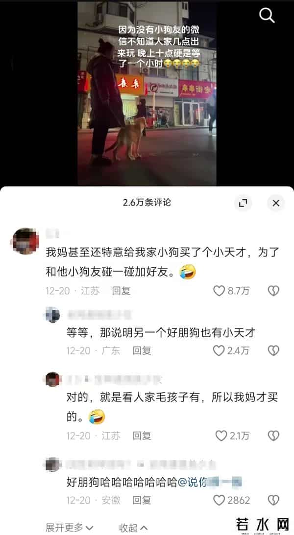 全村唯一拥有电话手表的小狗