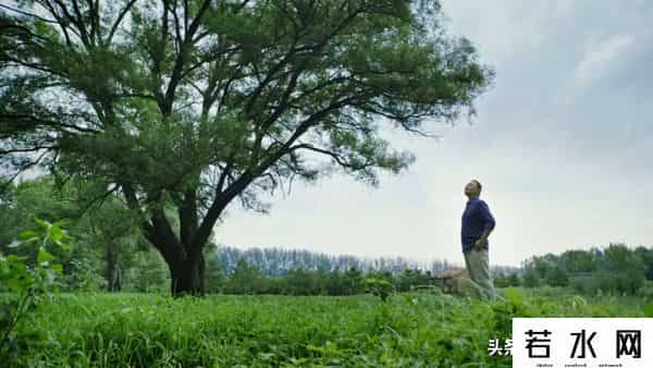 罗振宇人物简介