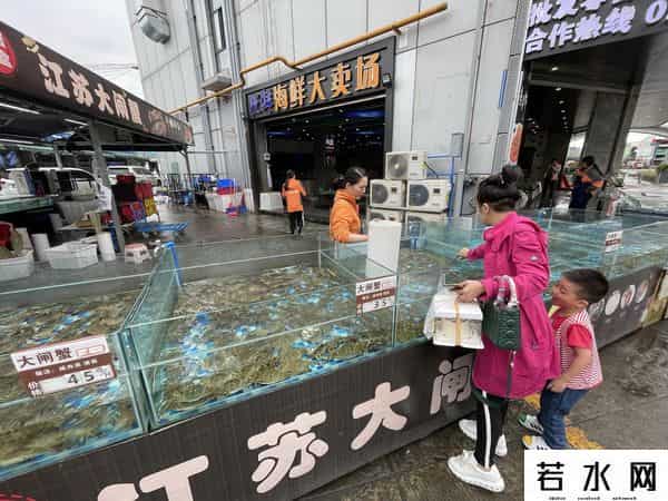 阳澄湖大闸蟹多少钱一只