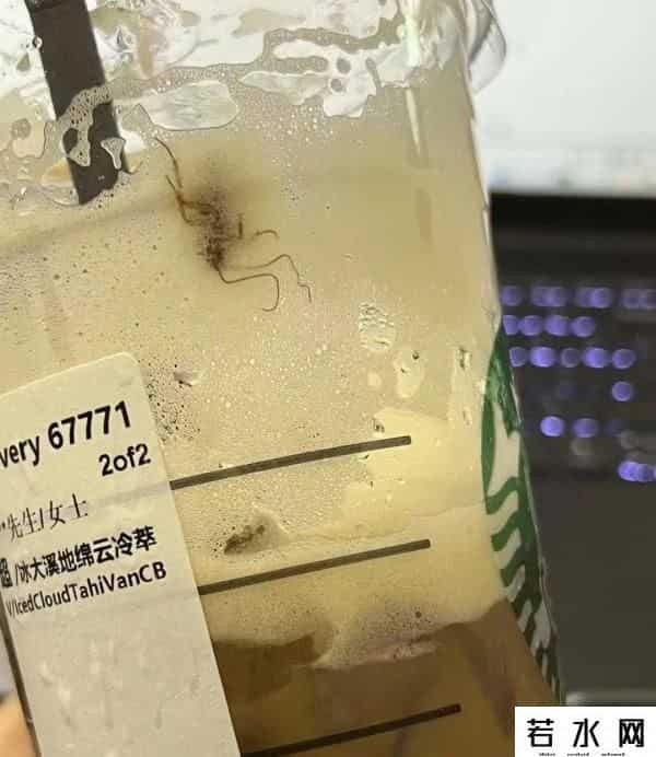 星巴克称未发现虫害