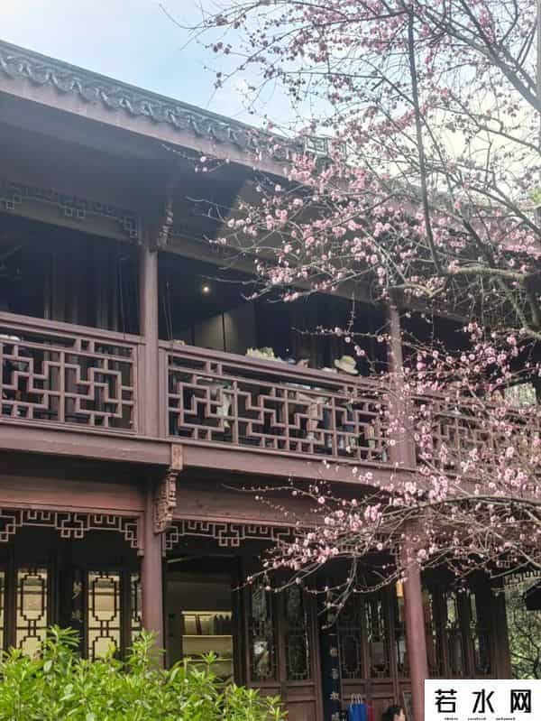 为什么年轻人爱上寺庙咖啡