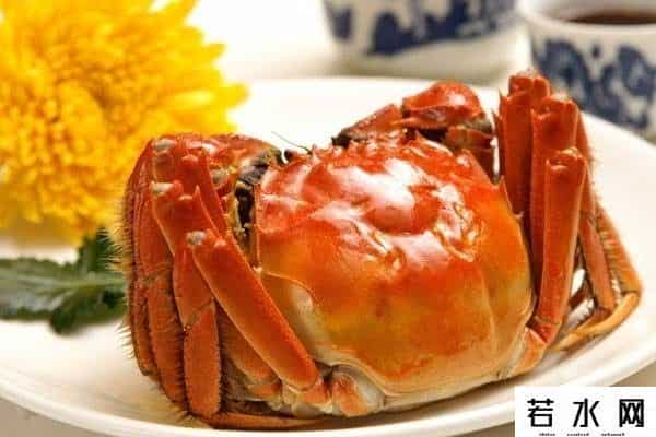 北京大董烤鸭店