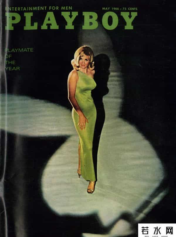 花花公子成人网站