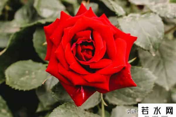 永远保持随时可以离开的能力