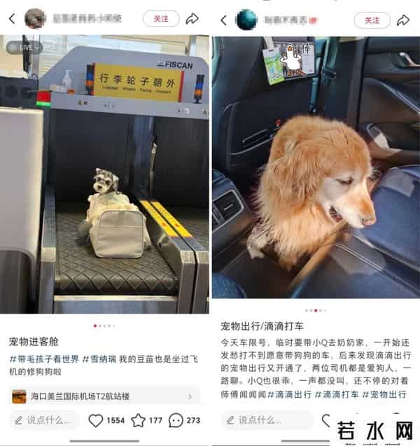 全村唯一拥有电话手表的小狗